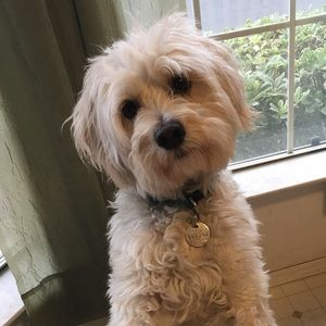 Meet your Posher, Eric